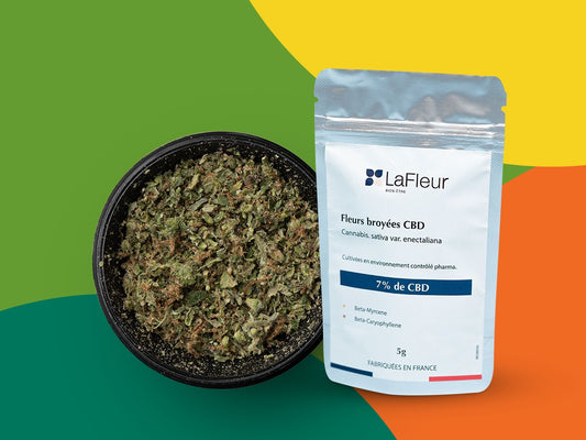 Broyé CBD "Zesty Pop"  5G