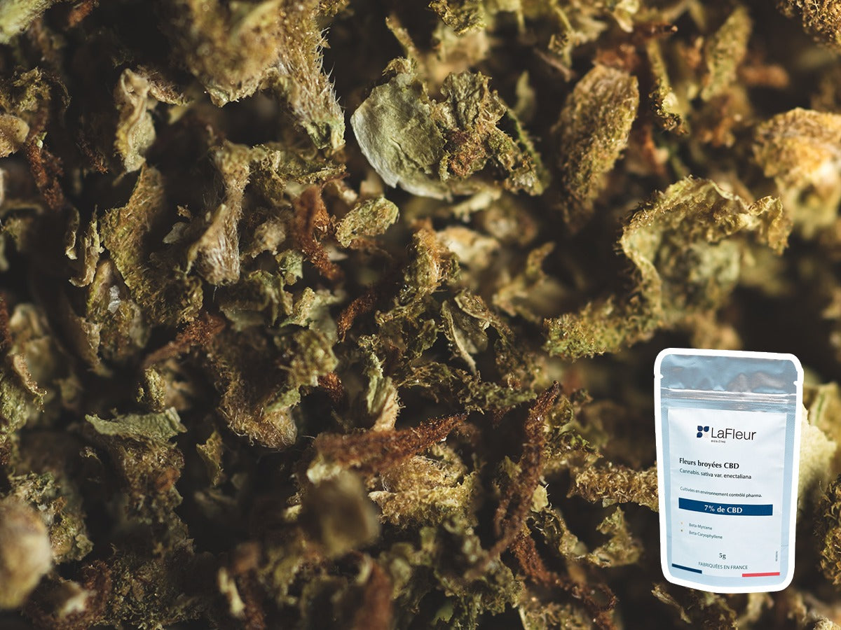 Broyé CBD "Zesty Pop" 5G