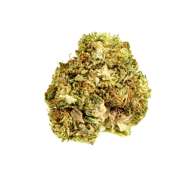 Obtenez 10% de remise