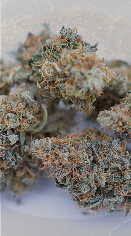 Fleur CBD